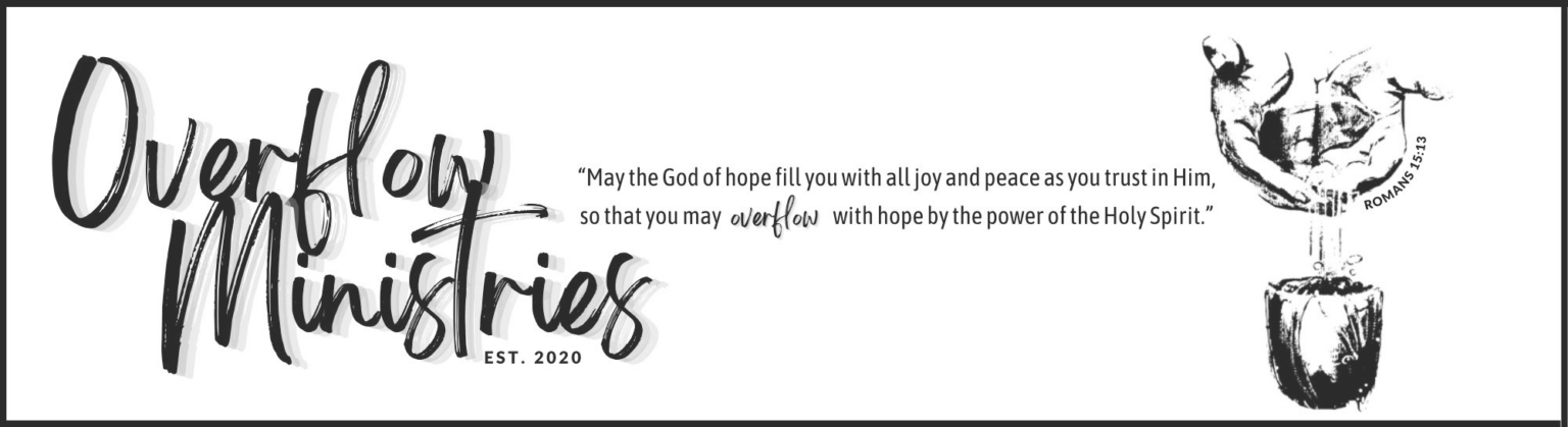 Banner Logo Overflow