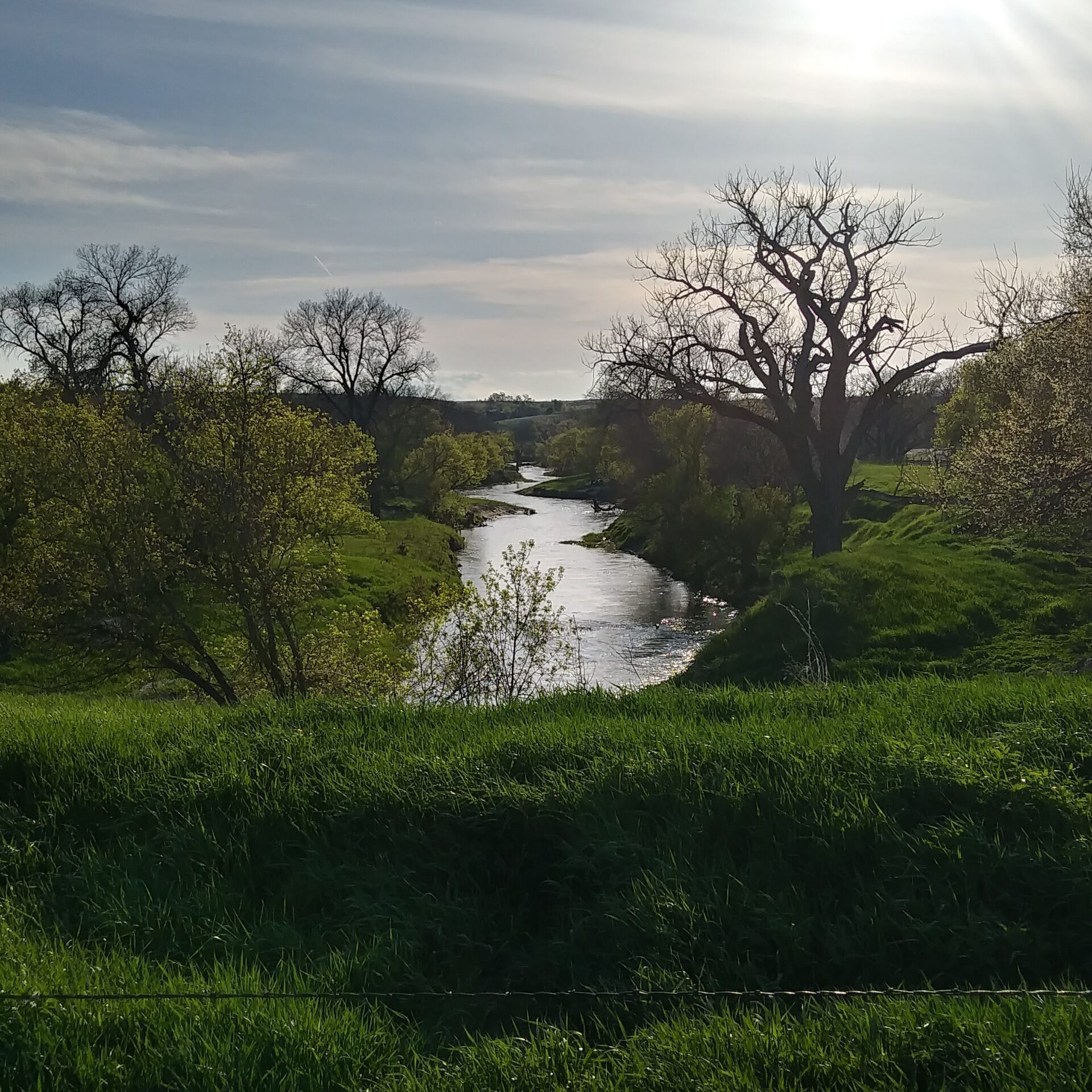 River and Grass